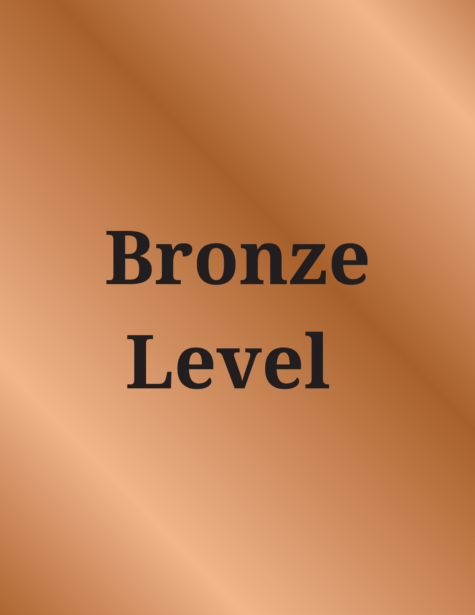 Bronze Level